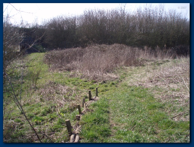 600x449 pixels (183K)